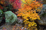 photo thumbnail #11