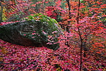 photo thumbnail #13