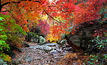 photo thumbnail #14