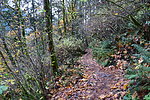 photo thumbnail #6