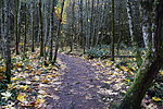 photo thumbnail #14