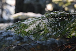 photo thumbnail #8