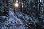 photo thumbnail #10