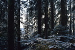photo thumbnail #12