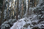 photo thumbnail #13