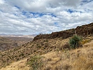 photo thumbnail #11