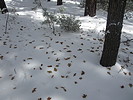 photo thumbnail #6