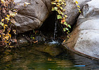 photo thumbnail #11
