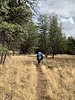 photo thumbnail #2
