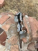 photo thumbnail #6