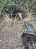 photo thumbnail #11