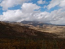 recent photo