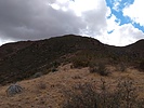 photo thumbnail #11