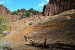 photo thumbnail #4