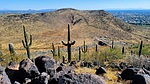 photo thumbnail #9