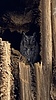 2020-11-12 :2: Lost Camp Loop :: LindaAnn