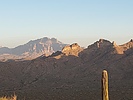 photo thumbnail #12