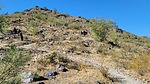 photo thumbnail #6