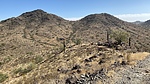 photo thumbnail #5