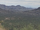 photo thumbnail #4