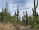 photo thumbnail #1