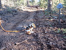 photo thumbnail #6