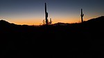 photo thumbnail #2