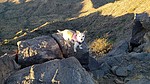 photo thumbnail #7