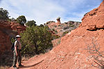 photo thumbnail #4