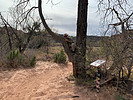 photo thumbnail #13