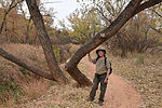 photo thumbnail #14
