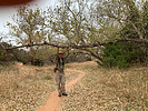 photo thumbnail #15