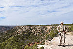 photo thumbnail #9