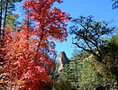 photo thumbnail #1