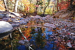 photo thumbnail #10