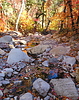 photo thumbnail #11