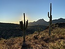 photo thumbnail #10