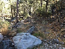 photo thumbnail #1