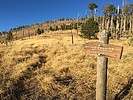 photo thumbnail #4