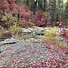 photo thumbnail #12