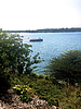 photo thumbnail #15