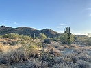 photo thumbnail #1