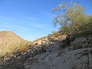 photo thumbnail #1