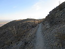 photo thumbnail #4
