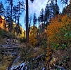 photo thumbnail #3