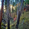 photo thumbnail #1
