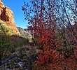photo thumbnail #6