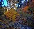 photo thumbnail #5