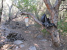 photo thumbnail #3