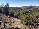 photo thumbnail #7